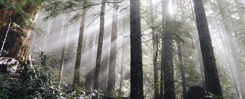 Ciclo De Vida Del Producto En Los Aspectos Ambientales