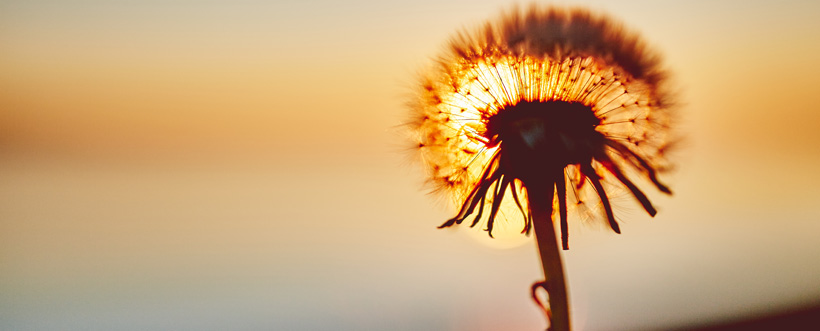 Cómo Hacer Rentable La Certificación En ISO 27001