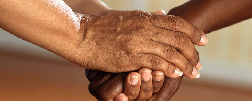 Integrar Sistemas De Gestión A Través De Un Software